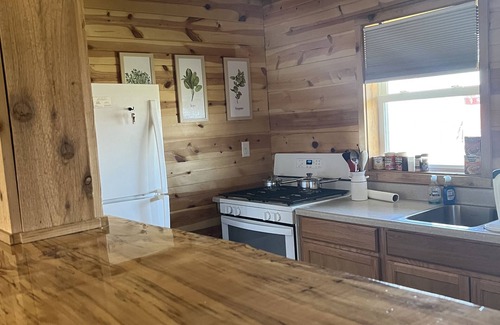 Geneva-on-the-Lake Cabin | Private cabin that sits on fenced in one acre lot. (Dog friendly)