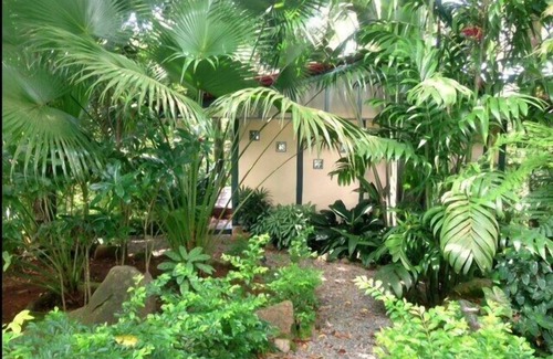 Dominical Cottage | Private Cottage Nestled in the Jungle, Above the Rocky Shore.