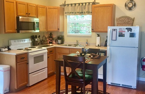 Chalet Village Ski Chalet | Private Couple’s Mtn Getaway;Borders GSMNP;Seasonal Mtn Views;Owner Operated