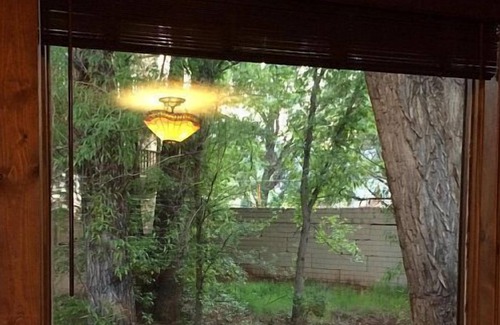 Manitou Springs Cabin | Private CREEKSIDE CABIN! Near Garden of the Gods and Pikes Peak. Pet/420 OK!