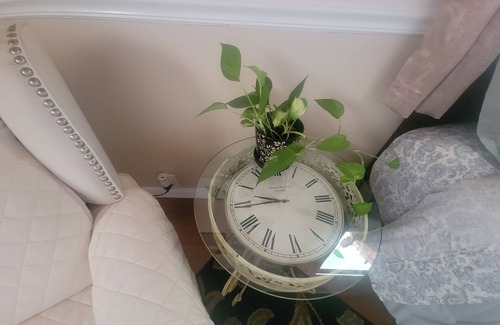 Ocala Apartment | Private Garden Efficiency in Downtown Ocala. Close to Silver Springs.