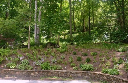 Sapphire Cottage | Private Getaway on Hogback Creek