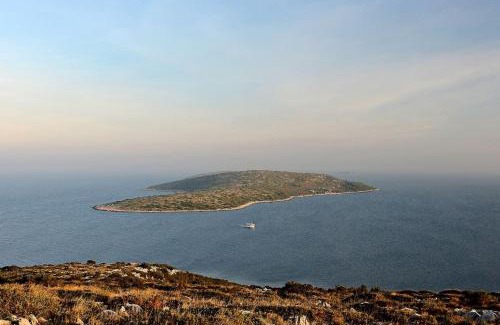 Island Dugi Otok House | Private island Šćitna - HOUSE LUEL