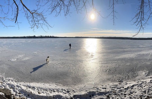Puslinch Cottage | Private Island on Puslinch Lake