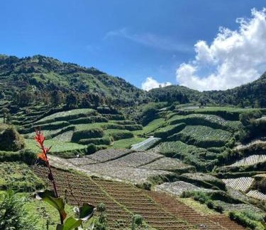Dieng Kulon House | private mini cabin