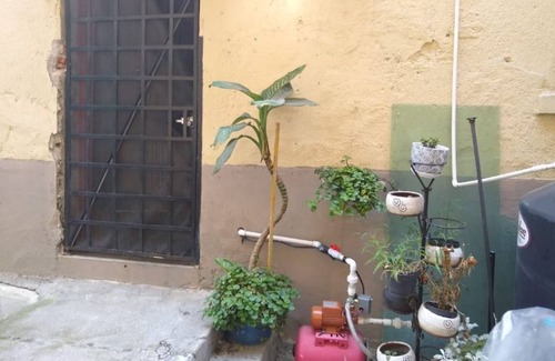 Downtown Mexico City Apartment | Private room in apartment hosted by Rosy