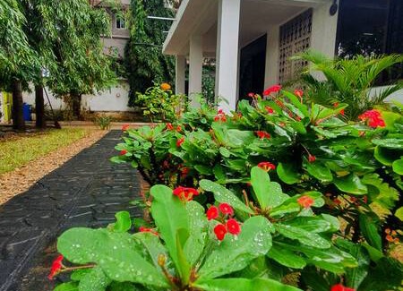 Mikocheni Resort | Private room ∙ 1 guest