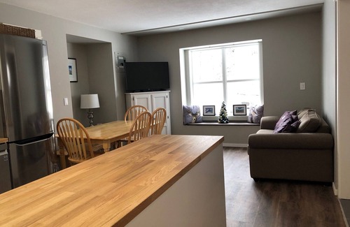 Silver Star Mountain Apartment | Private suite with semi-private hot tub, and BBQ - pet friendly too!