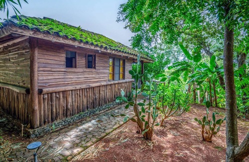 Canafistula Hotel | Private Triple Bungalow with Nature View