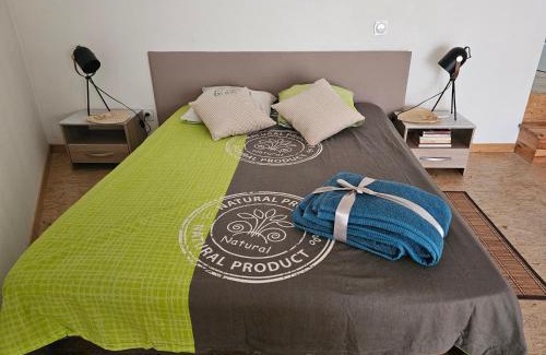 Albi Apartment | Proche passerelle et cathédrale