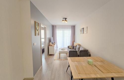 Torun Apartment | Prywatny Parking Charming Place by Rentoom