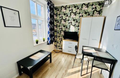 Chorzow Apartment | Przy Parku Róż II