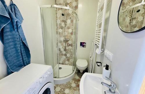 Chorzow Apartment | Przy Parku Róż II