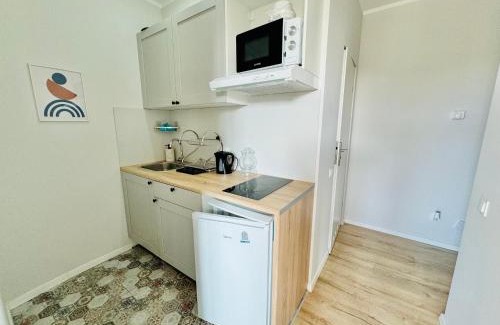 Chorzow Apartment | Przy Parku Róż II