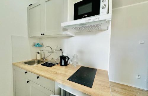 Chorzow Apartment | Przy Parku Róż II