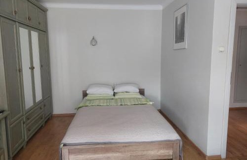Tarnow Apartment | Przytulna i przestrzenna garsoniera- Centrum