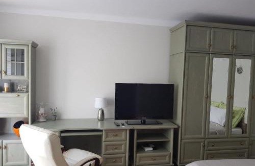 Tarnow Apartment | Przytulna i przestrzenna garsoniera- Centrum