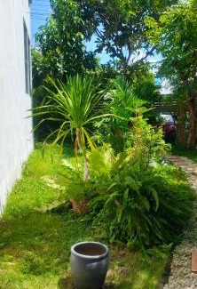 Chiang Mai House | PS Place