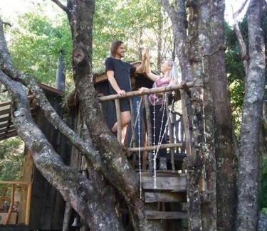 Pucon Cabin | Pucón Magic forest