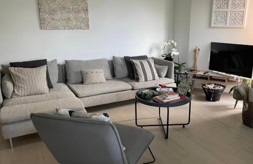 Pully Apartment | PULLY LAUSANNE sunny apartment on lakeside street and direct bus to Lausanne train station