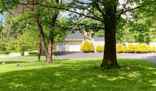 Purcellville Bed & Breakfast | Purcellville Home