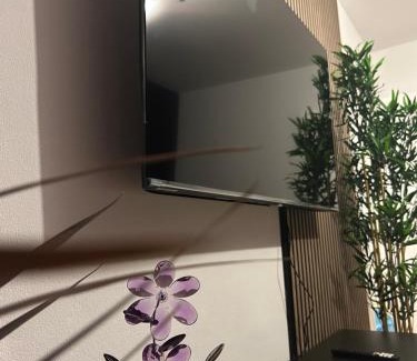 Rastpfuhl Apartment | Purple Escape Balkon Netflix zentral