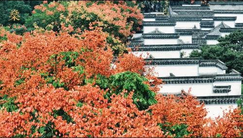Yuecheng Hotel | Pusen Lanting Shaoxing