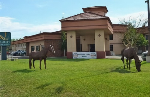 Casper Hotel | Quality Inn & Suites Casper Near Event Center
