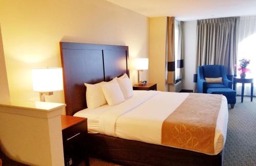 Las Colinas Hotel | Quality Suites Irving-Las Colinas