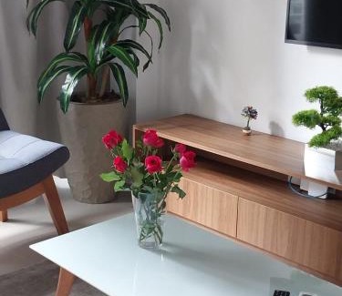 Vila Nova Conceicao Apartment | Quarto Sala 48m2 Parque Ibirapuera Itaim Bibi