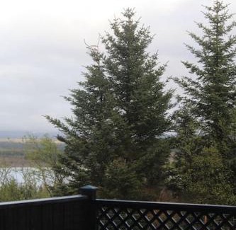 Kopavogur Apartment | Quiet and cozy apartment with a lake view