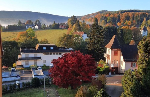 Le Hohwald Apartment | Quiet, bright 3* studio in Hohwald, hiking and mountain-biking country