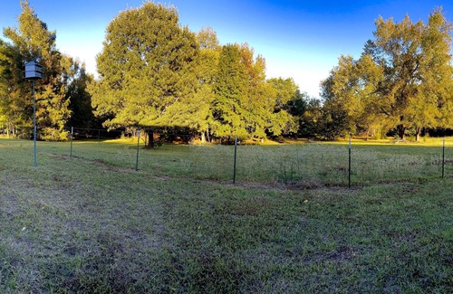 Mineola House | Quiet house in the country - 20 minutes from Canton and Lake Fork!