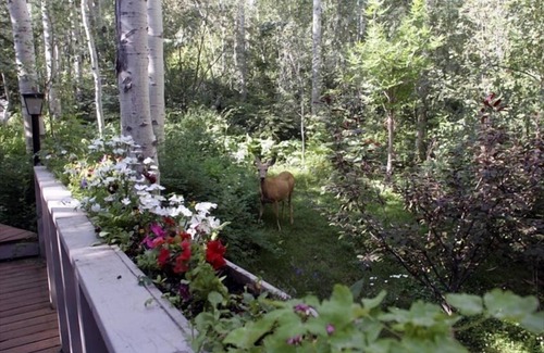 Snowmass Village House | Quiet, Peaceful, Spacious, Private Hot Tub, Well Appointed, 2 min. from lifts