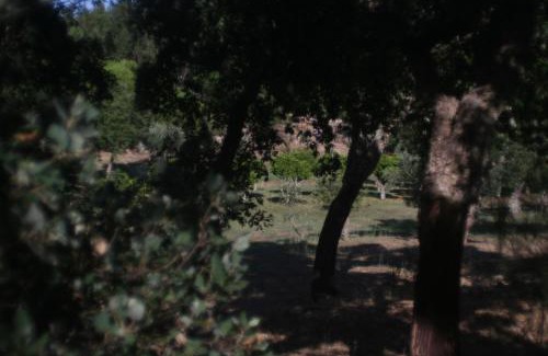 Sao Luis Other | Quinta da Paz Eco-Lodge