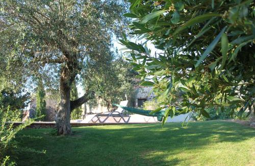 Camparca House | Quinta de São João