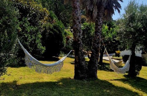 Penso House | Quinta de S. Vicente 317