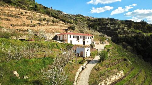 Barro Bed & Breakfast | Quinta do Fojo Valonguinho, Barrô
