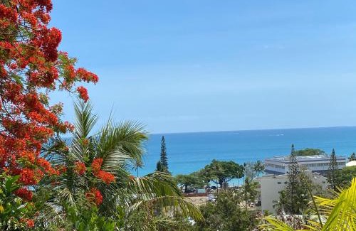 Noumea House | Résidence les cactus