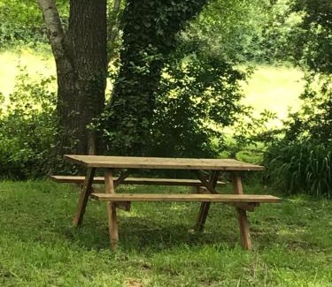 Asse-le-Riboul Apartment | Réveil aux chants des oiseaux