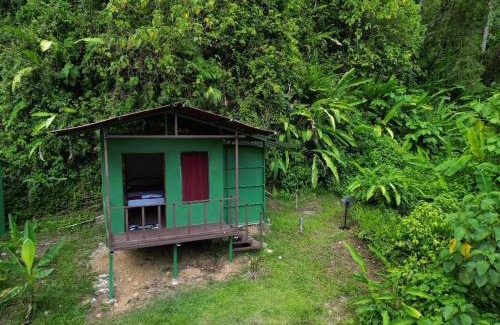 Quebrada La Gamba Cabin | Río Verde Ecolodge