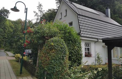 Bergen auf Ruegen Apartment | Rügen Fewo 91 Buchenwinkel
