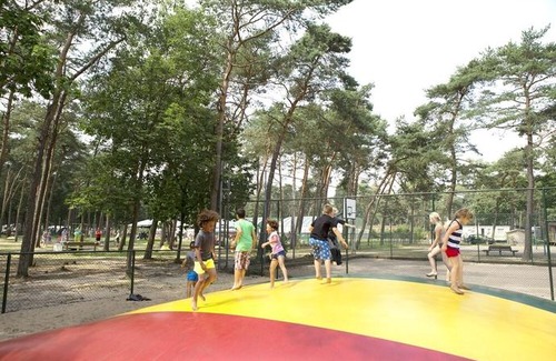 Municipality of Arnhem Resort | RA Reeënveld Mobile home