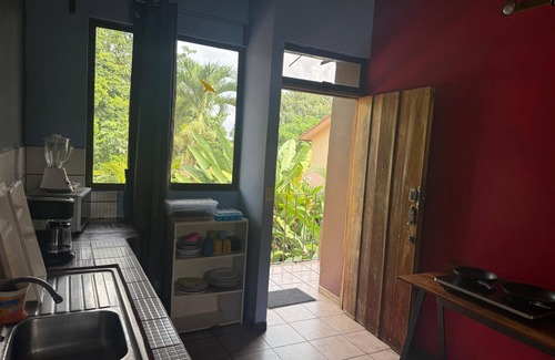 Barrio Pilo Apartment | Raccoon apartment in charming La Fortuna with WiFi, fitness room