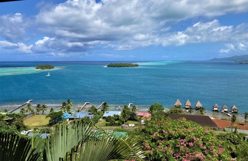 Uturoa Apartment | RAIATEA - Bungalow Apetahi 3
