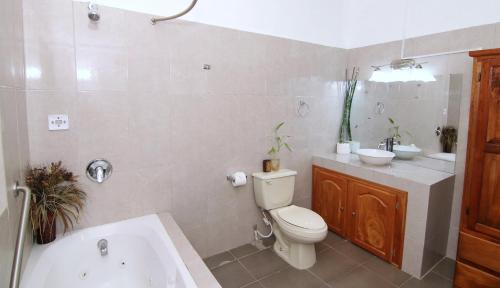 San Ignacio Hotel | Rainforest Haven Inn