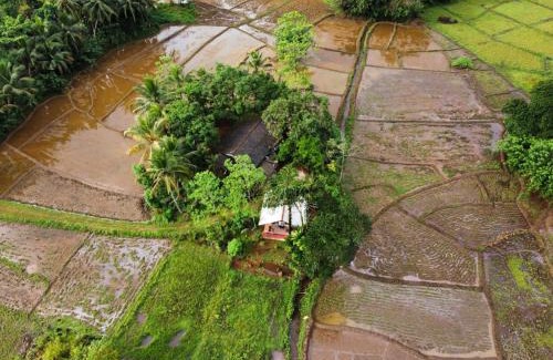 Kotapola Villa | Rainforest view villas & Tours