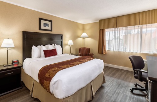 Coquitlam Hotel | Ramada by Wyndham Coquitlam