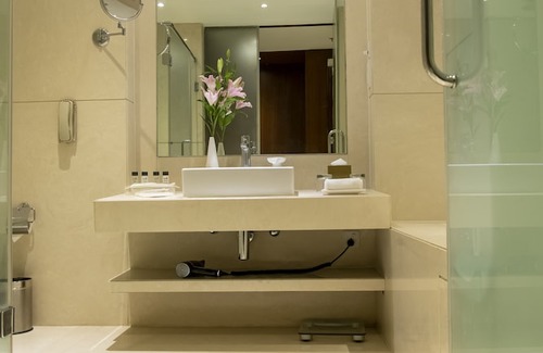 Paud Hotel | Ramada Plaza by Wyndham Hinjewadi