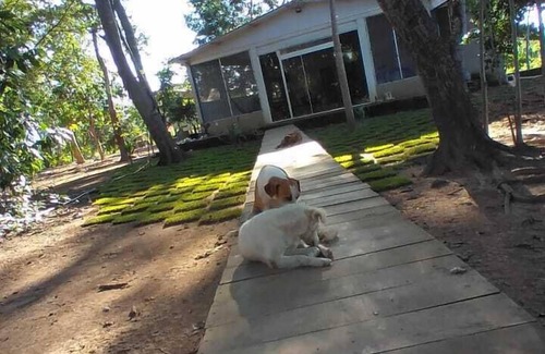 Mimoso House | Rancho 5 corações pesqueiro